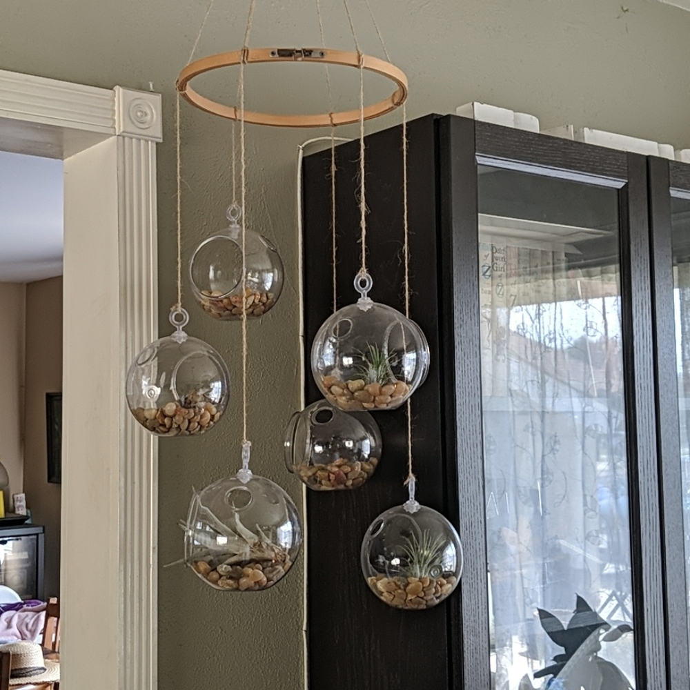 Air Plant Chandelier